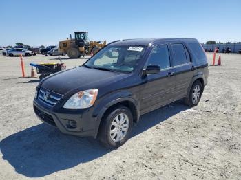  Salvage Honda Crv