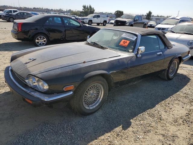  Salvage Jaguar Xjs