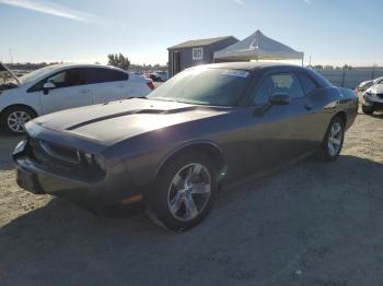  Salvage Dodge Challenger