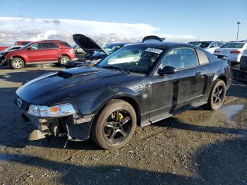  Salvage Ford Mustang