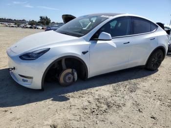  Salvage Tesla Model Y