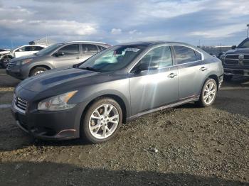  Salvage Nissan Maxima