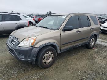  Salvage Honda Crv