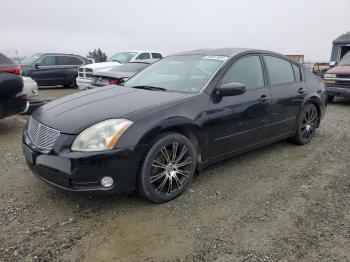  Salvage Nissan Maxima