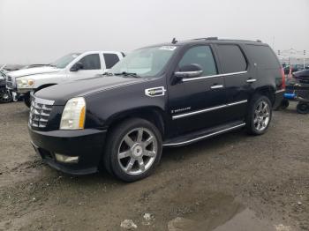  Salvage Cadillac Escalade