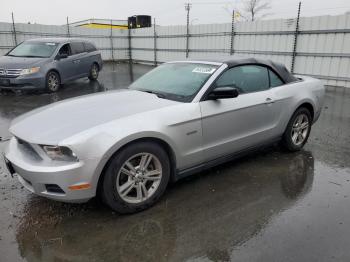  Salvage Ford Mustang