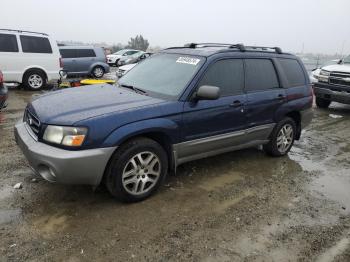  Salvage Subaru Forester