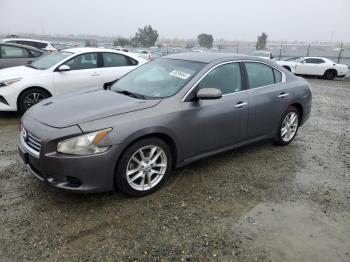  Salvage Nissan Maxima