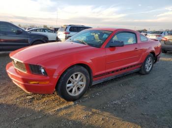  Salvage Ford Mustang