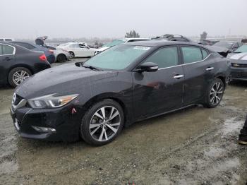  Salvage Nissan Maxima