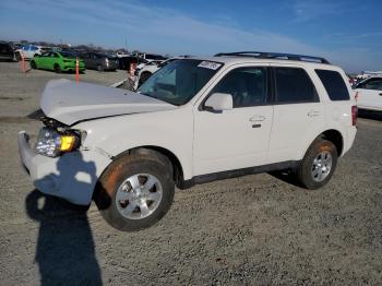  Salvage Ford Escape