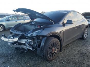  Salvage Tesla Model Y