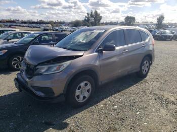  Salvage Honda Crv