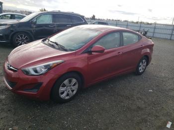  Salvage Hyundai ELANTRA