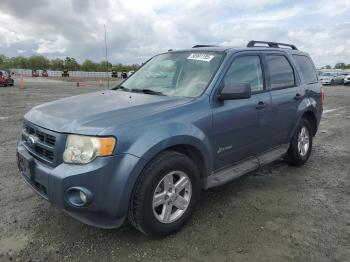  Salvage Ford Escape