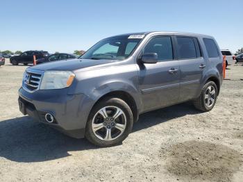  Salvage Honda Pilot