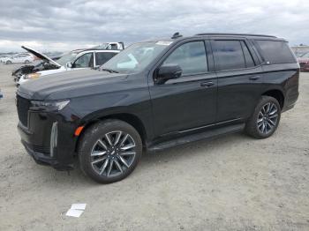  Salvage Cadillac Escalade