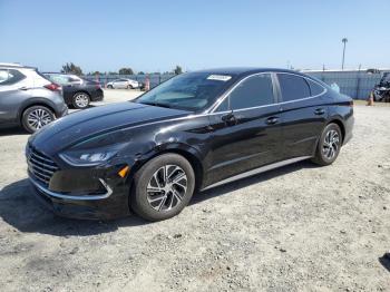 Salvage Hyundai SONATA