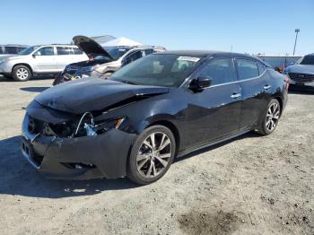  Salvage Nissan Maxima