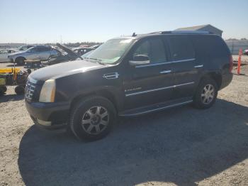  Salvage Cadillac Escalade