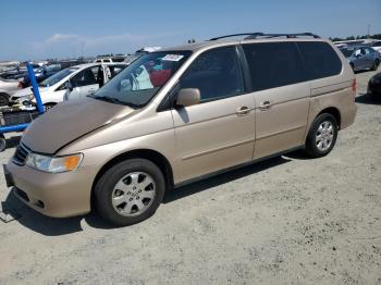  Salvage Honda Odyssey