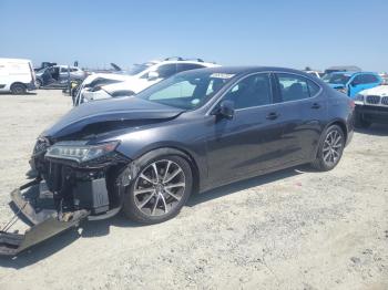  Salvage Acura TLX