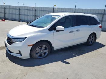  Salvage Honda Odyssey