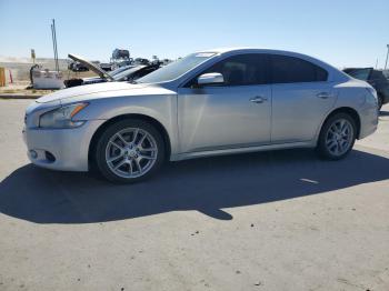  Salvage Nissan Maxima