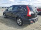 Honda Crv Lx Image 3