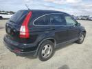 Honda Crv Lx Image 12