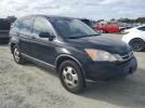 Honda Crv Lx Image 4