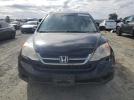 Honda Crv Lx Image 2