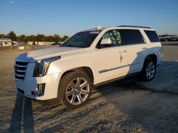  Salvage Cadillac Escalade