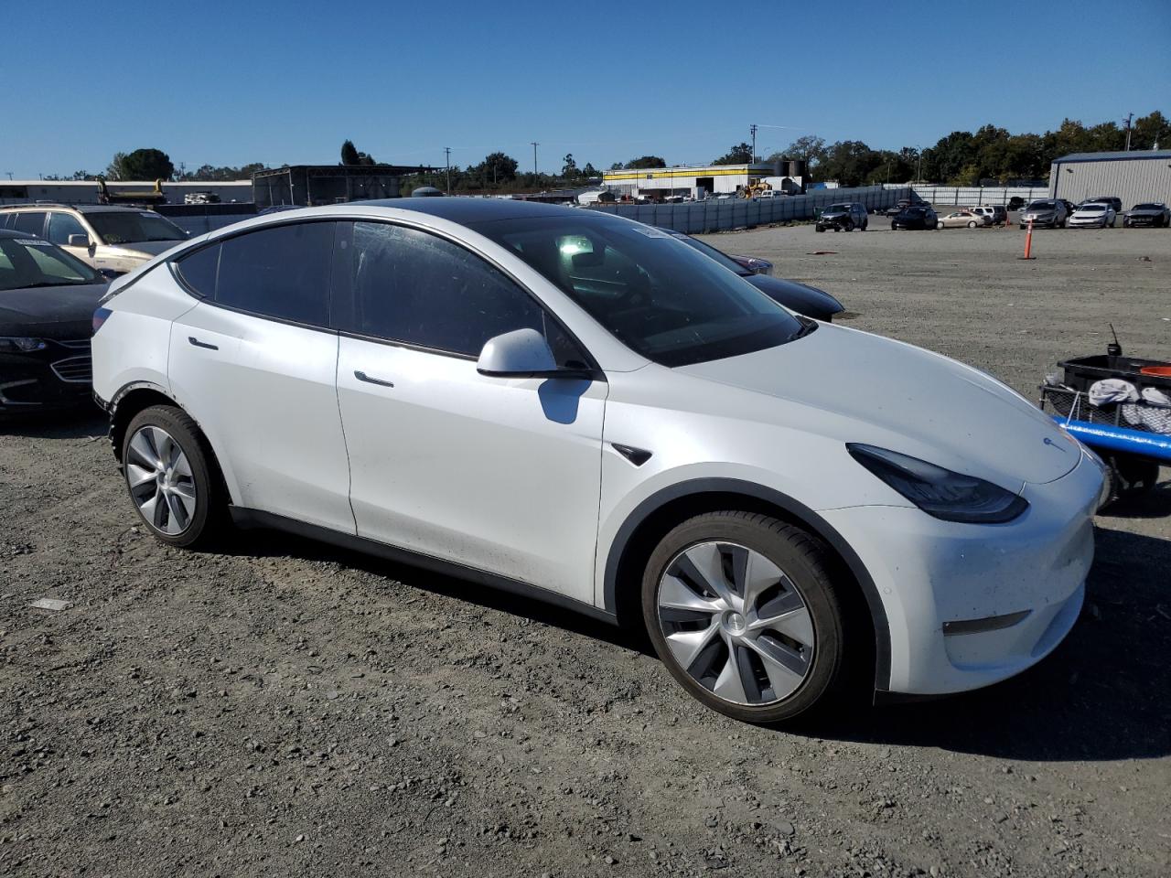 Tesla Model Y Image 6