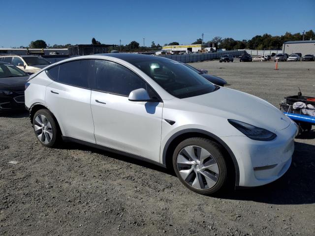 Tesla Model Y Image 6
