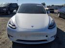 Tesla Model Y Image 4