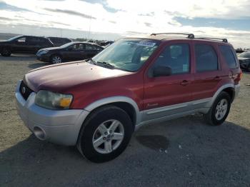  Salvage Ford Escape