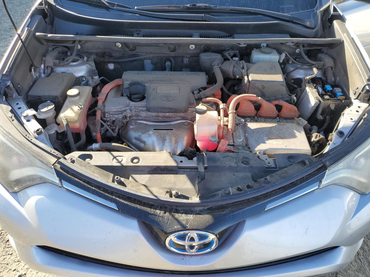 Toyota RAV4 Xle Image 2