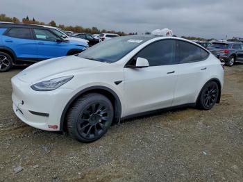  Salvage Tesla Model Y
