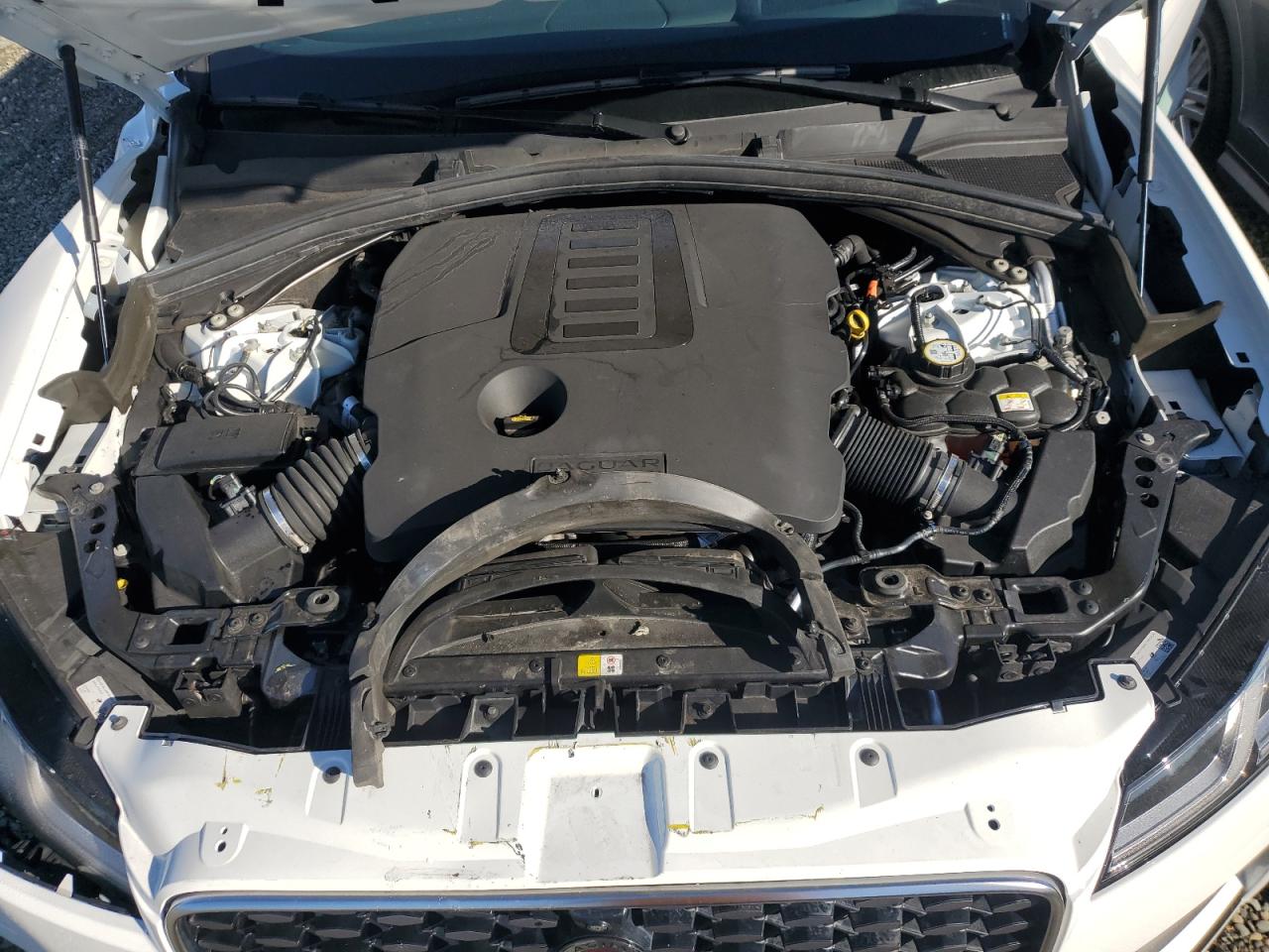 Jaguar F-PACE R-dynamic S Image 5