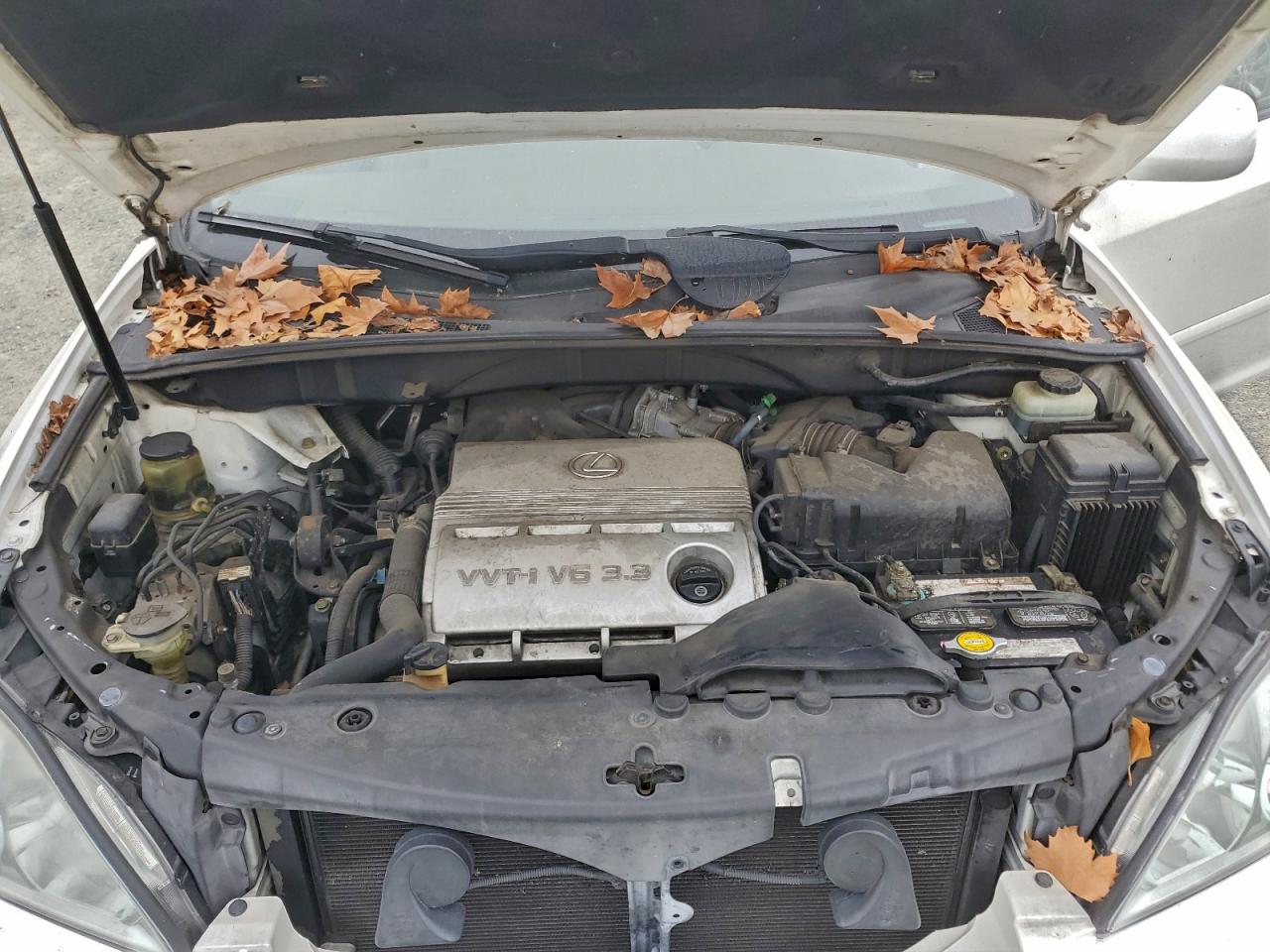 Lexus RX 330 Image 10