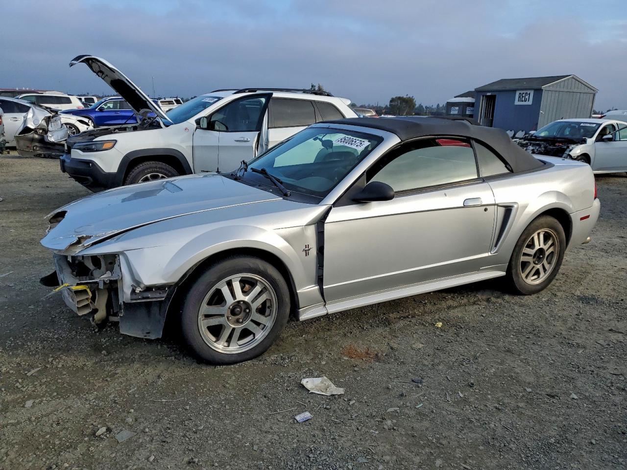 Ford Mustang Image 1