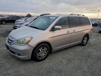  Salvage Honda Odyssey