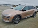 Hyundai NEXO Limited Image 1