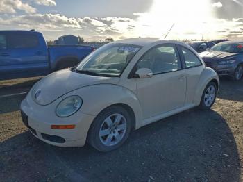  Salvage Volkswagen Beetle