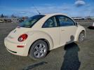 Volkswagen Beetle 2.5l Option Package 1 Image 12