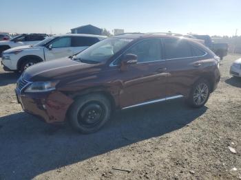  Salvage Lexus RX