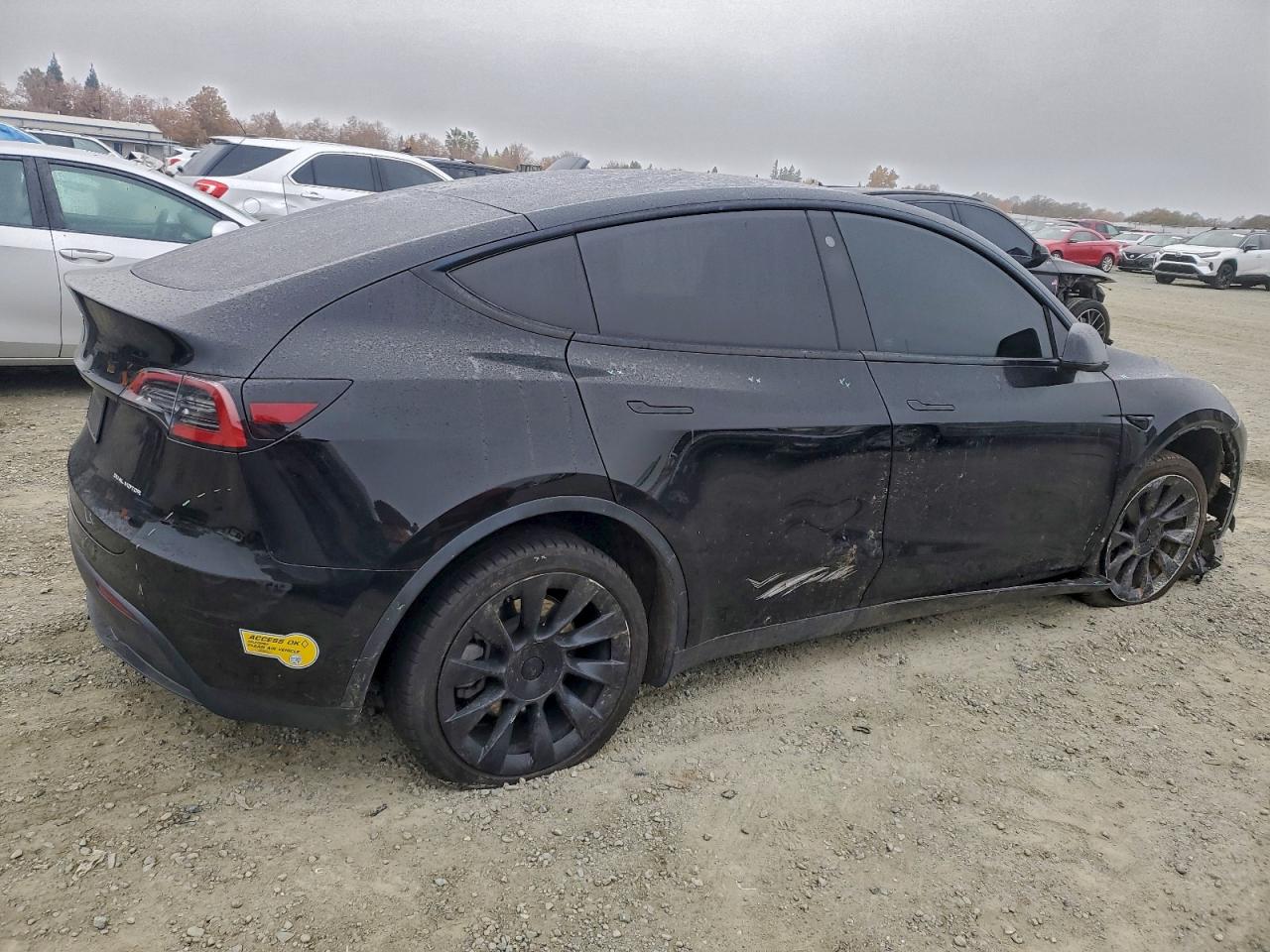 Tesla Model Y Image 8