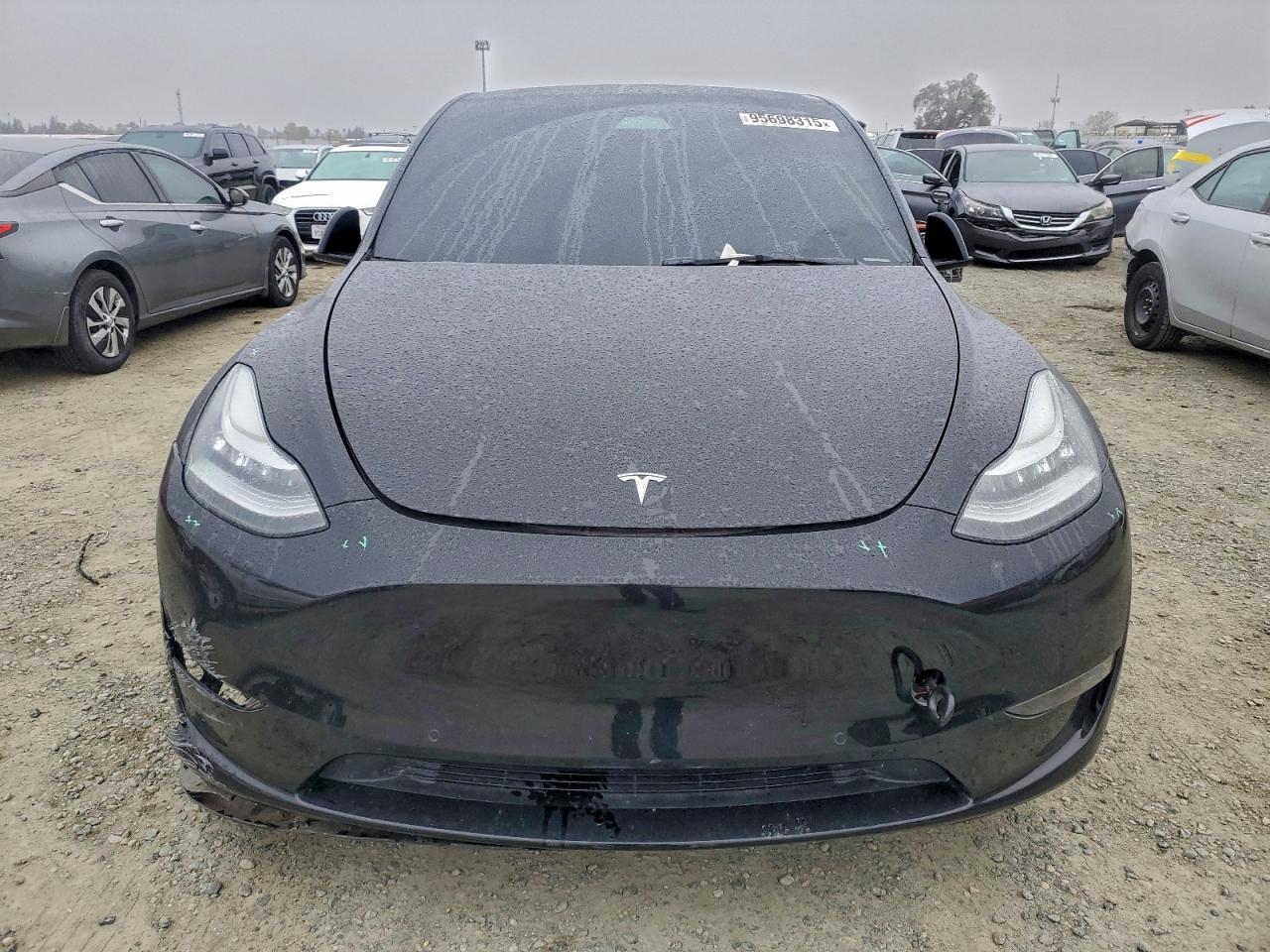 Tesla Model Y Image 10