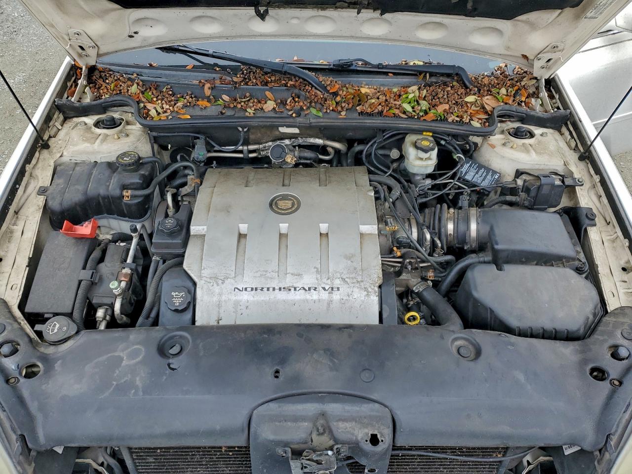 Cadillac DeVille Image 6